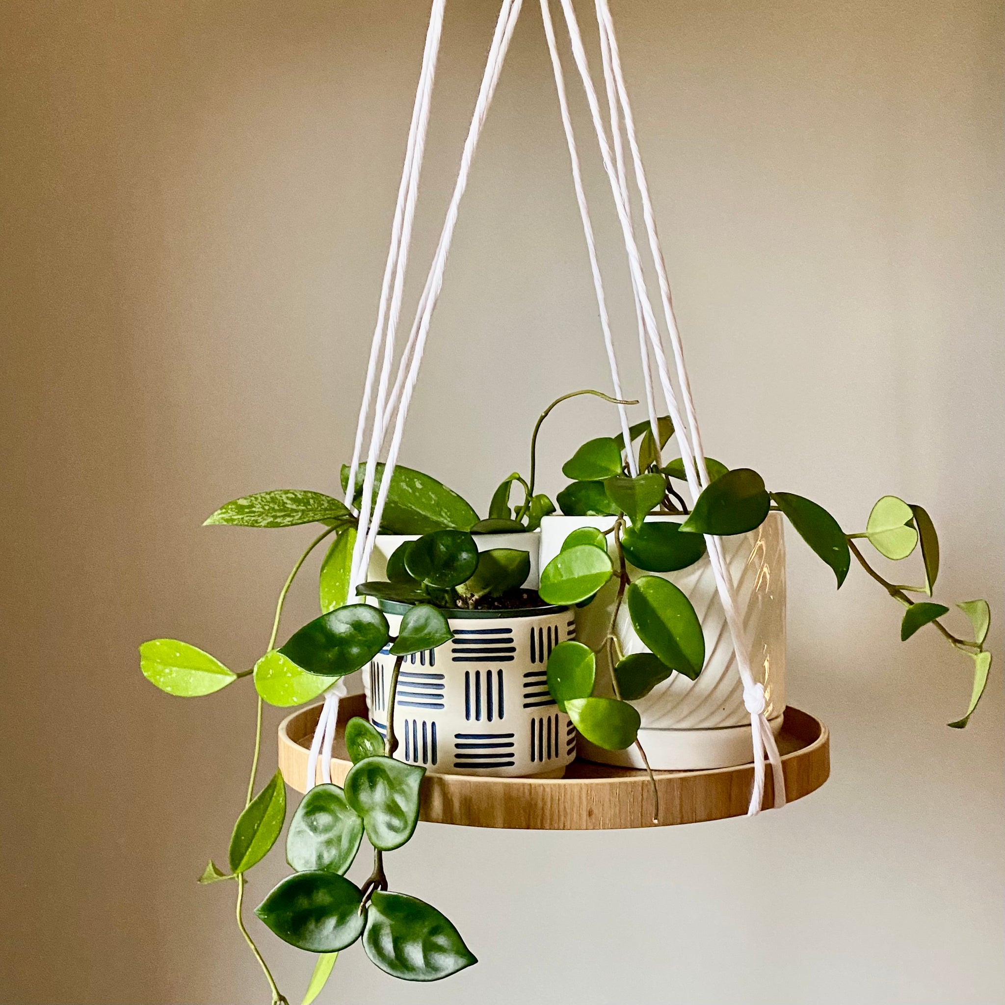 Round shelf and its Macramé 2024