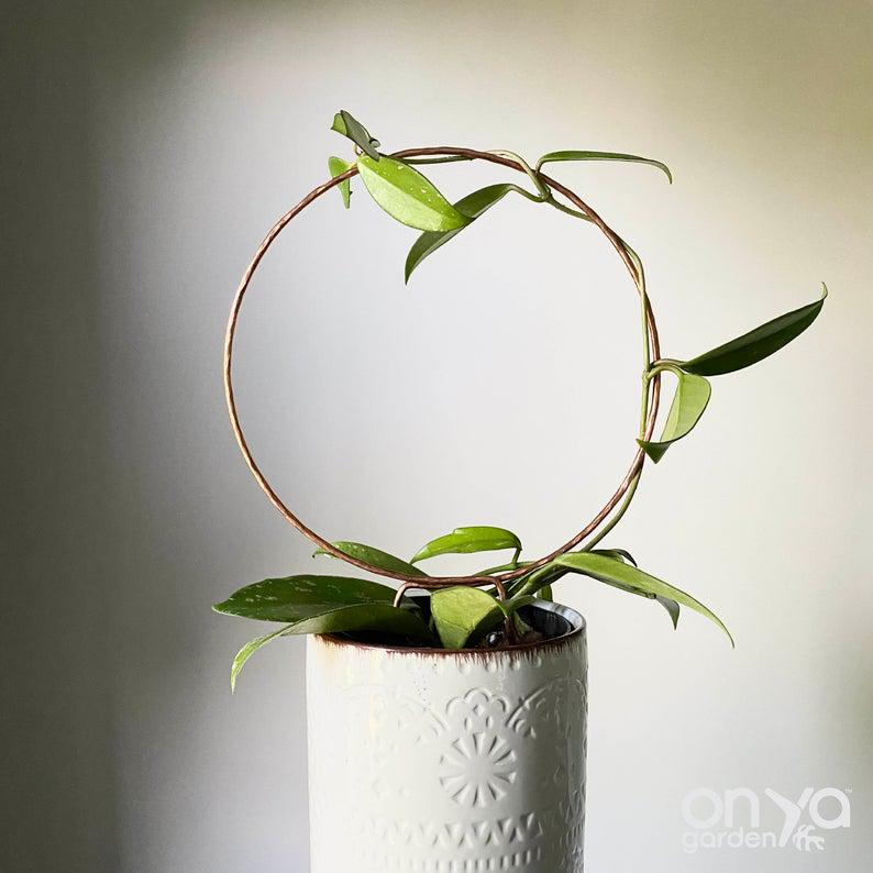 Copper Loop Circle Hoya and House Plant Trellis - 3 Sizes Available-Trellis-On Ya Garden